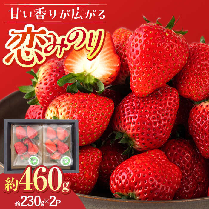 大塚ファームのいちご「恋みのり」 2パック【2024年12月中旬～2025年3月発送予定】 ▼恋みのり イチゴ 苺 かわいい 甘い あまい 冷蔵便 国産 福岡産 生 食べ物 ギフト贈り物 2024 2025 産地直送 新鮮 果実 青果 果物 人気 桂川町/大塚ファーム[ADAB002]