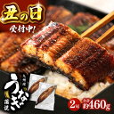 【ふるさと納税】【選べる発送月】 鹿児島産 うなぎ 蒲焼 2尾 (秘伝のたれ付き)特大 ▼レンジ 鹿児島県 ウナギ ウナギ 特大 蒲焼き かば焼き 蒲焼 丑の日...