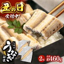 【ふるさと納税】【選べる発送月】 鹿児島産 うなぎ 白焼 2尾セット ▼ 国産 ウナギ 特大 うなぎ 鰻 丑の日 白焼き グルメ 桂川町/山水商事[ADAH00...