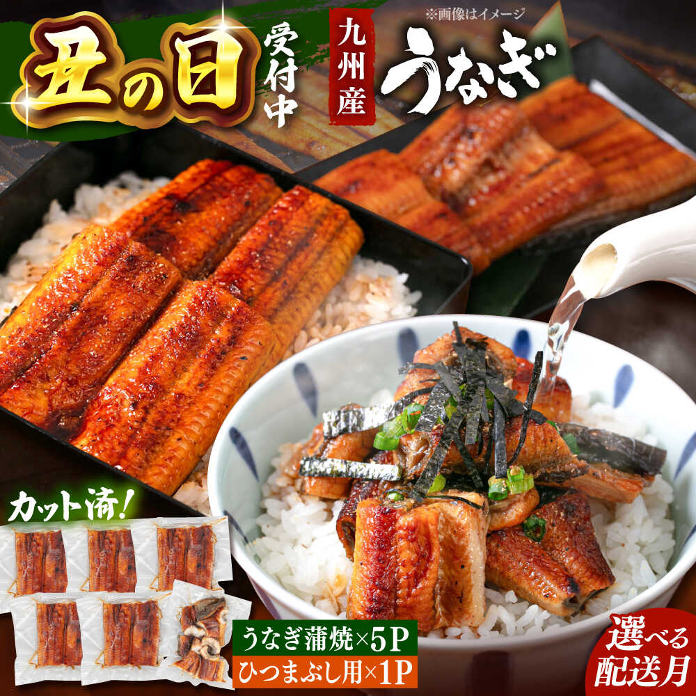 楽天市場】【ふるさと納税】和食処の味!ごまダレ香る 本格 鯛 楽天市場】【ふるさと納税】和食処の味!ごまダレ香る 本格 鯛