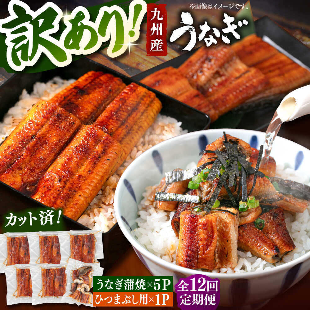 【ふるさと納税】【全12回定期便】 うなぎの蒲焼 約80g×5Pとひつまぶしの贅沢セット ▼ うなぎ 鰻 ウナギ 蒲焼 蒲焼き ひつまぶし 定期便 桂川町/山水...