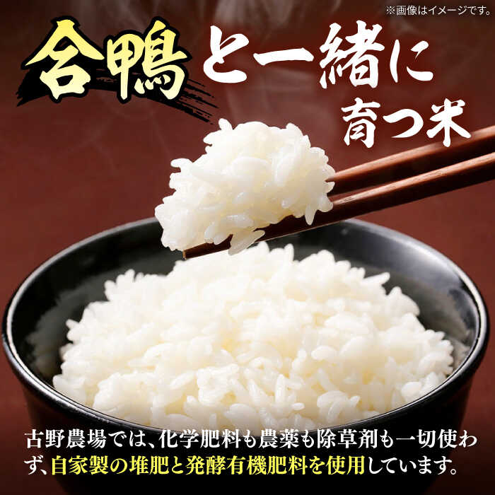 福岡県桂川町の画像2