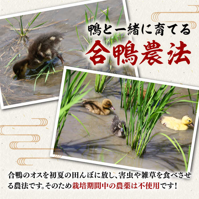 福岡県桂川町の画像3