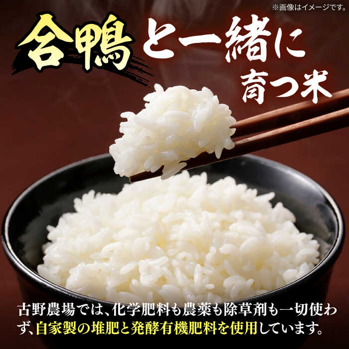 【ふるさと納税】古野農場の合鴨農法で作った「令和5年産 合鴨米（白米）2kg」と「純米酢」のセット 桂川町/合鴨家族 古野農場[ADAL004]