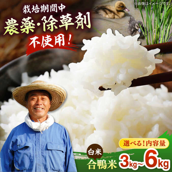 19位! 口コミ数「6件」評価「5」【選べる容量】【令和7年産】古野農場の合鴨農法で作った 合鴨米（白米） 3kg / 6kg ▼無農薬 福岡産 令和7年産 おすすめ 農家直送 高評価 合鴨農法 白米 精米 桂川町/合鴨家族 古野農場[･･･ 