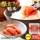 【ふるさと納税】【ご家庭用】やまや うちのめんたい切子込 300g ▼めんたいこ 切れ子 明太子 冷蔵 お取り寄せ ご飯のお供 切子九州 冷蔵配送 明太子 自宅...