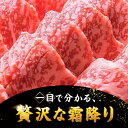 福岡県桂川町の画像2