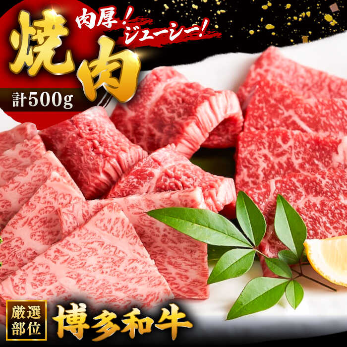 博多和牛焼肉用 500g ▼国産 国産牛 博多 黒毛和牛 牛肉 焼き肉 焼肉 やきにく BBQ バーベキュー 牛丼 高品質 お祝い 御祝 お礼 お取り寄せ 桂川町/株式会社 MEAT PLUS[ADAQ009]