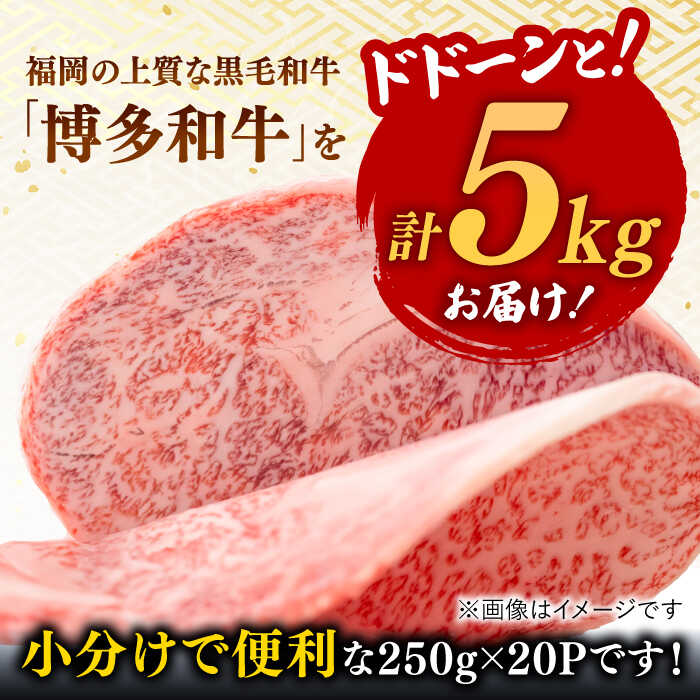 【ふるさと納税】【年内発送】【 訳あり 】 博多和牛 サーロイン ステーキ セット 5kg （250g×20枚） ▼ 国産 国産牛 博多 黒毛和牛 牛肉 ステーキ わけあり 訳アリ 桂川町/株式会社 MEAT PLUS[ADAQ028] 150000 150000円 15万円