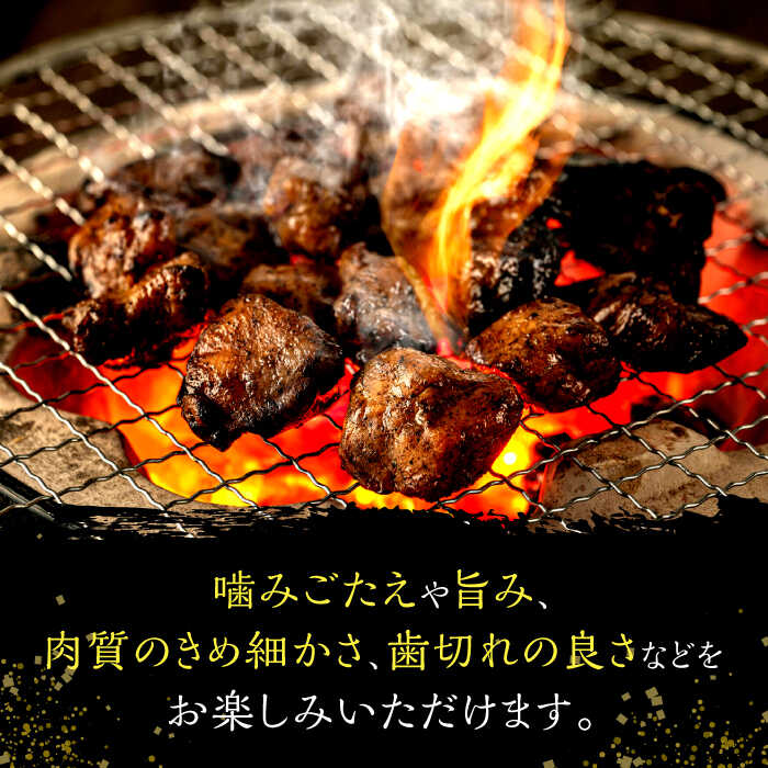 【10%OFF 楽天スーパーSALE限定】[ミヤチク] チキン スモークチキン 180g×5/チキン/スモーク/燻製/むね肉/宮崎県産/お弁当/サンドイッチ/スモークチキン/燻製