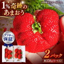 【ふるさと納税】【1月上旬より順次配送】超大玉 あまおう 約350g×2パック ▼アフター保証 あまおう イチゴ 苺 甘い あまい 冷蔵 国産 ギフト 贈り物 ...