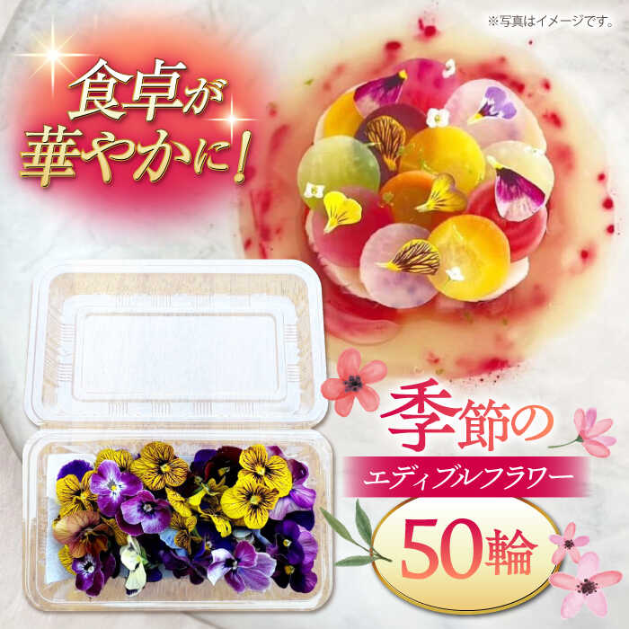 季節のエディブルフラワー50輪おまかせ ▼ガーニッシュ 食用花 花 食べられる花 地域特産 装飾 料理 桂川町/NOGAMI FARM[ADAU001]