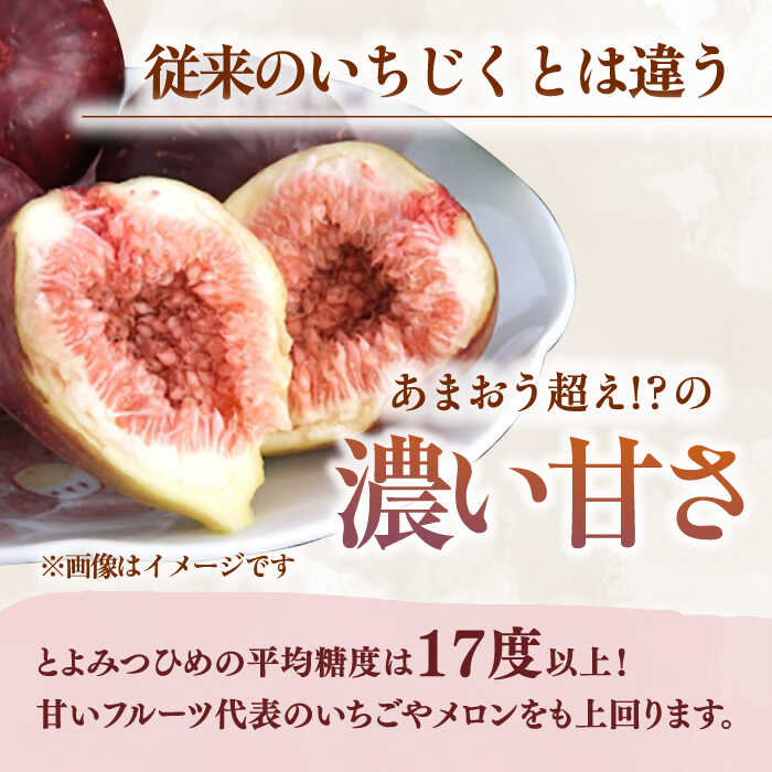 福岡県桂川町の画像2