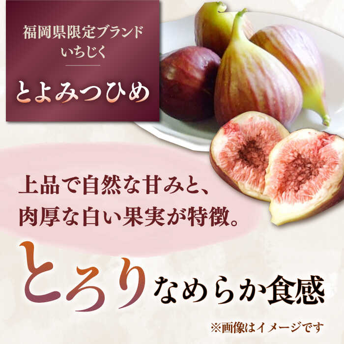 福岡県桂川町の画像3