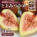 【ふるさと納税】【先行受付】【2025年8月発送開始】JAふくおか嘉穂 いちじく とよみつひめ 秀品 1.2kg イチジク 無花果 300g×4パック ▼ 国産...
