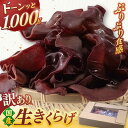【ふるさと納税】【年内発送】福岡県産 生きくらげ 1kg 木耳 キクラゲ 国産 ▼訳あり 訳アリ わけあり ワケアリ アウトレット 自宅用 きくらげ 生キクラゲ...