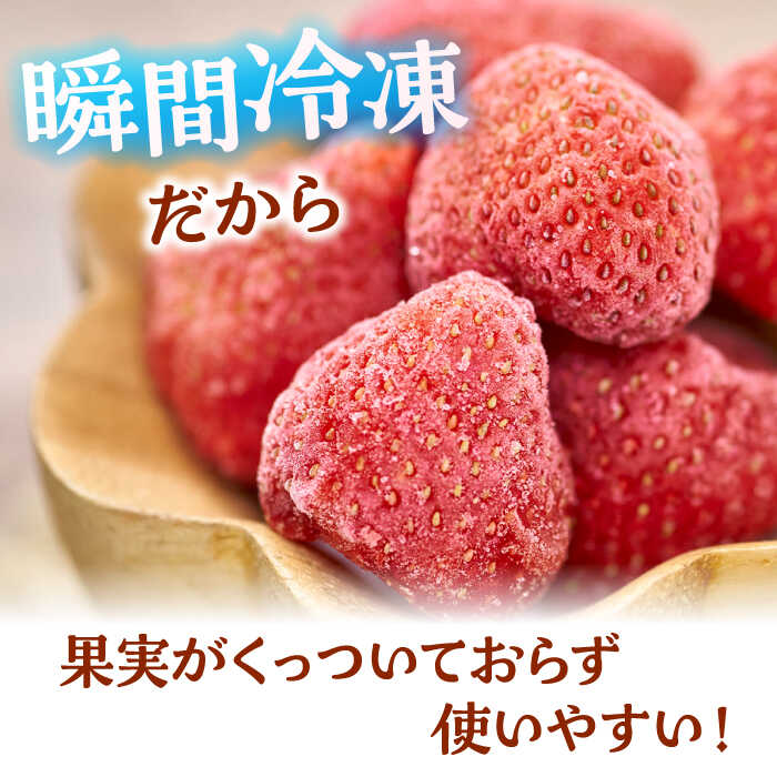 【ふるさと納税】福岡産 冷凍 あまおう 1kg （500g×2袋） ▼ 福岡 冷凍いちご 苺 イチゴ フルーツ 小分け 冷凍あまおう いちご 桂川町/南国フルーツ株式会社[ADBW005] 10000 10000円 1万円