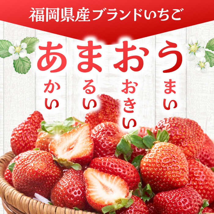 【ふるさと納税】福岡産 冷凍 あまおう 1kg （500g×2袋） ▼ 福岡 冷凍いちご 苺 イチゴ フルーツ 小分け 冷凍あまおう いちご 桂川町/南国フルーツ株式会社[ADBW005] 10000 10000円 1万円