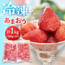 【ふるさと納税】福岡産 冷凍 あまおう 1kg (500g×2袋) ▼ 福岡 冷凍いちご 苺 イチゴ フルーツ 小分け 冷凍あまおう いちご 桂川町/南国フルー...