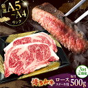 281位! 口コミ数「0件」評価「0」【全3回定期便】【数量限定 博多和牛】ロースステーキ用 計500g 2枚入 ▼ 牛肉 博多 和牛 極上 バーベキュー ブランド 国産 高級 高評価 特別 上質 桂川町/株式会社チクゼンヤ[ADBZ05・・・