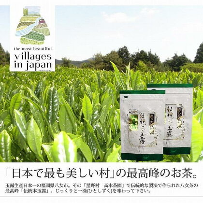 奥八女星野村　伝統本玉露[50g]×2袋 | 楽天ふるさと 納税 取り寄せ 銘茶 福岡銘茶 お取り寄せ 茶 お茶 おちゃ 八女茶 人気 おすすめ ソフトドリンク 飲料 常温 送料無料