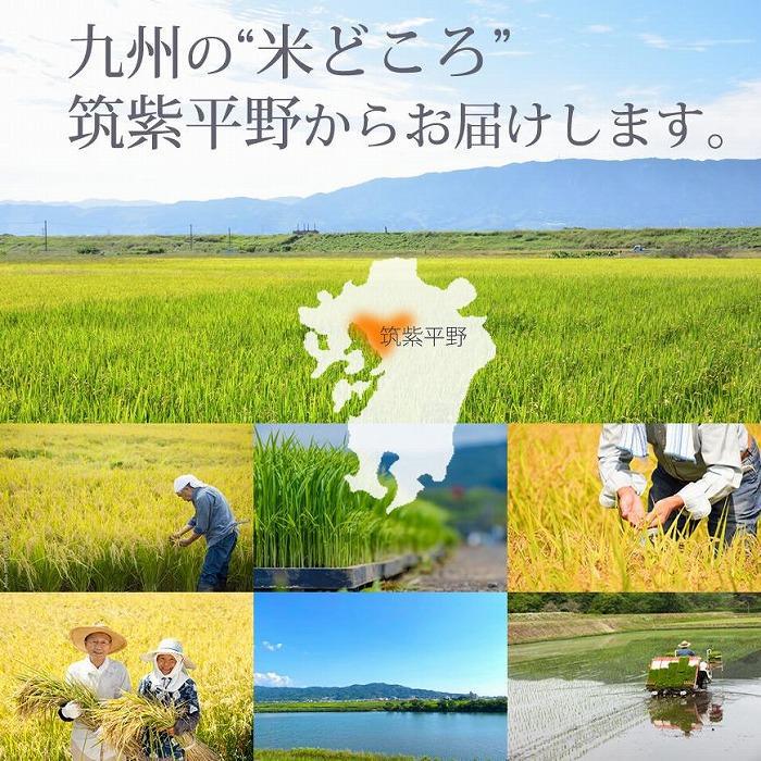 【ふるさと納税】福岡県産【特A】評価のお米「元気つくし」5kg×2袋 [10kg] [白米] | 楽天ふるさと納税 米 お米 こめ 白米 ブランド米 ごはん ご飯 元気つくし 10kg おにぎり お弁当 食品 福岡県産 国産 送料無料