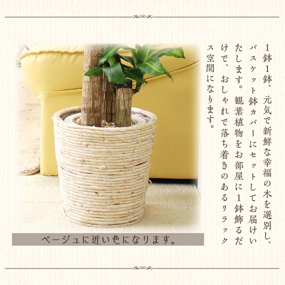 福岡県筑前町の画像3