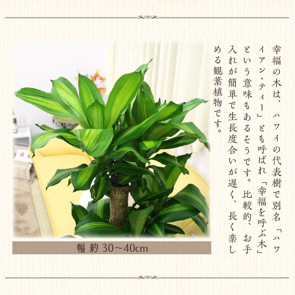 福岡県筑前町の画像2