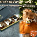 【ふるさと納税】ペットフード(犬のおやつ) ジャガイモとブロッコリーのタルト 5個入り | ペット 犬 ドッグフード ドッグ いぬ 小型犬 愛犬 愛犬家 ケーキ...