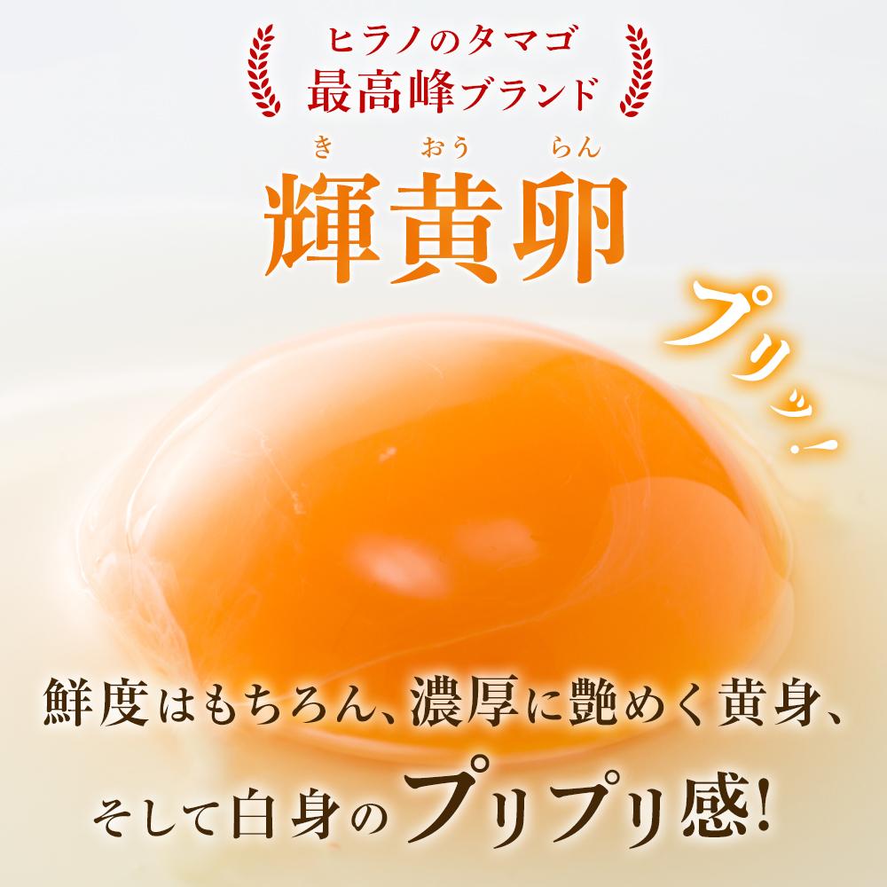 【ふるさと納税】ヒラノのたまご【輝黄卵(きおうらん)】赤Mサイズ10kg(160個前後) | 楽天ふるさと納税 卵 たまご 食品 卵かけご飯 朝ごはん 鶏卵 鳥卵 食品 人気 おすすめ 福岡県 筑前町 送料無料