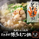 【ふるさと納税】九州名物とめ手羽 博多もつ鍋セット 5-6人前 味噌味 <筑前町>