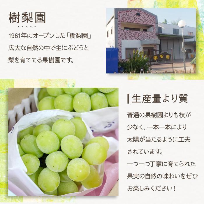 福岡県筑前町の画像3