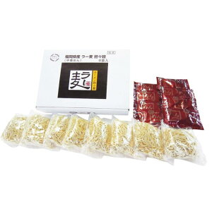 【ふるさと納税】博多生ラーメン担々麺(120g×8入) | 麺 食品 加工食品 人気 おすすめ 送料無料