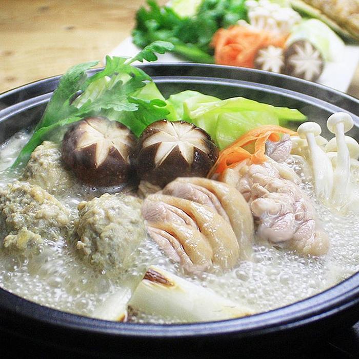 【ふるさと納税】博多水炊き(はかた地どり切り身・つみれ)セット2〜3人前 B106J | 肉 お肉 にく 食品 国産 人気 おすすめ 送料無料 ギフト