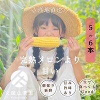 【ふるさと納税】<2025年6月発送>完熟メロンのように甘い朝採り!スイートコーン約5本 ちょっと食べてみたい方におすすめ!(約2kg) | 野菜 やさい 食品 人気 おすすめ 送料無料