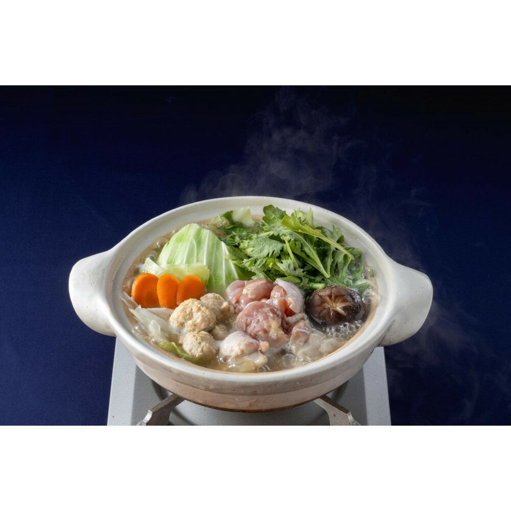 【ふるさと納税】むなかた鶏使用 水炊き2人前