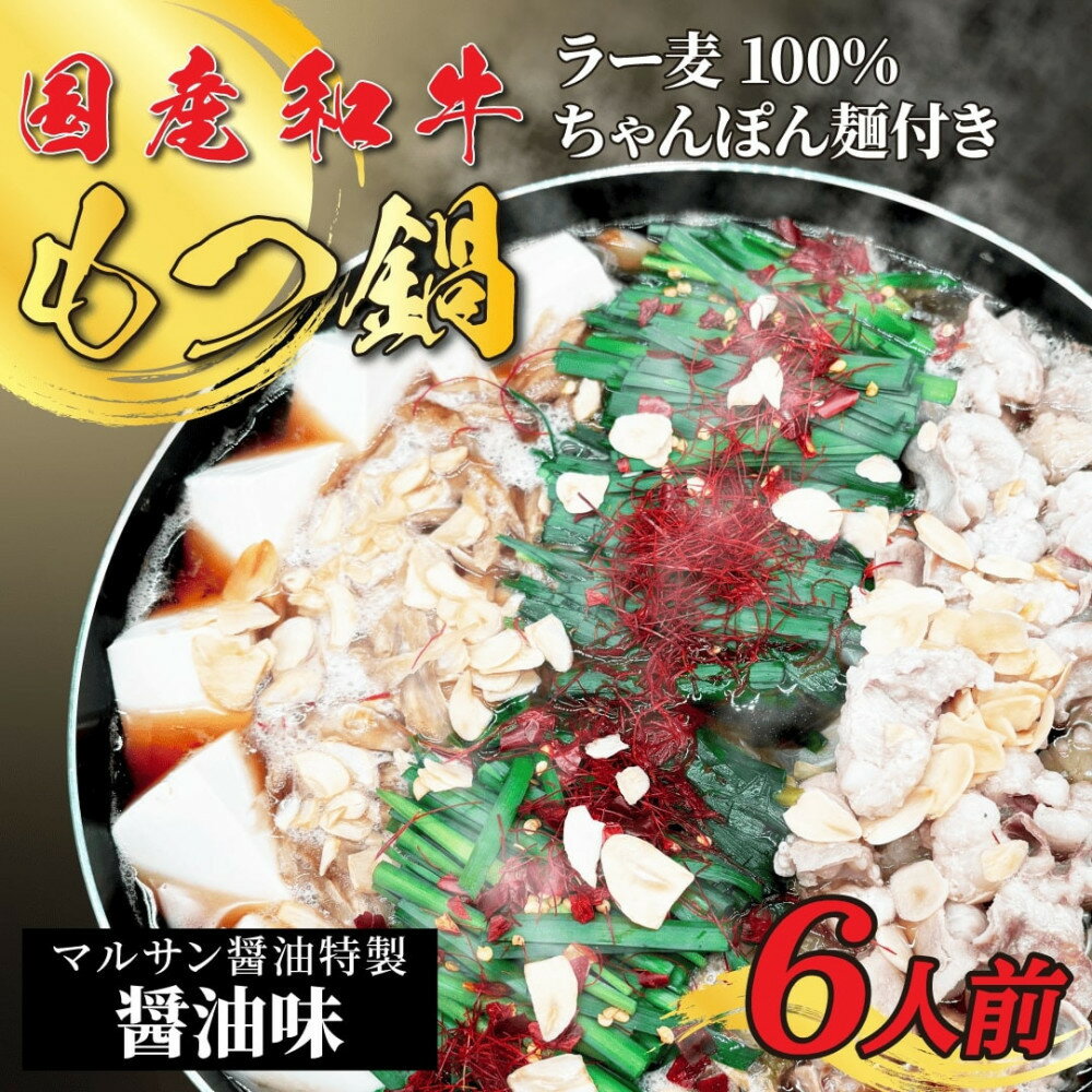 【ふるさと納税】【化粧箱入り】素材にこだわりました!厳選博多牛もつ鍋セット6人前(国産牛もつ使用)