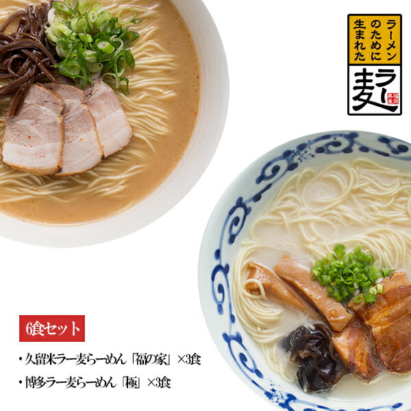 【ふるさと納税】ラー麦 らーめん の 食べ比べ 6食セット 福岡県産 100％ 小麦 ラーメン用小麦 袋麺 ...