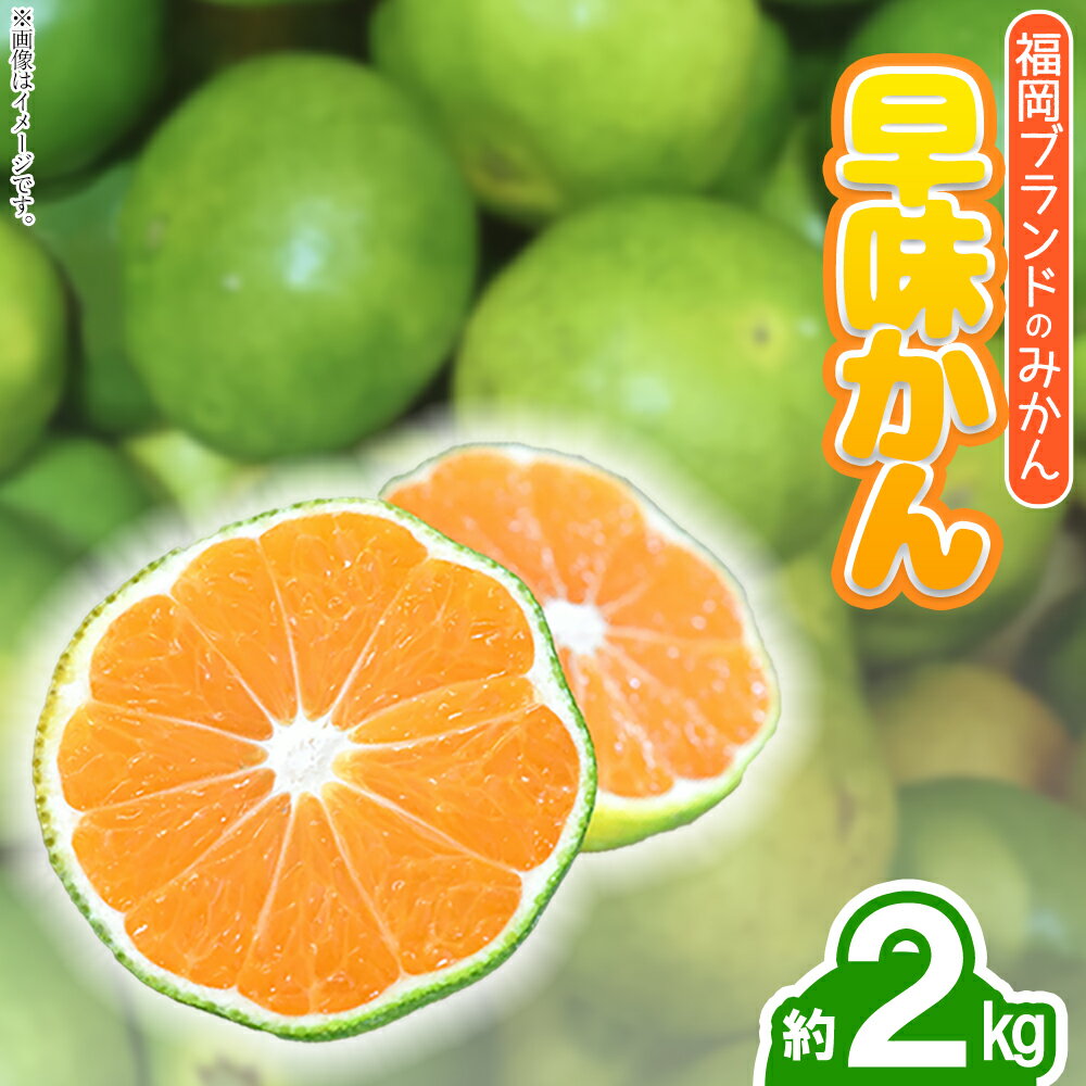 【ふるさと納税】 福岡ブランドみかん・早味かん約2kg 果物 くだもの フルーツ 送料無料 福岡 東峰 東峰村 3V16
