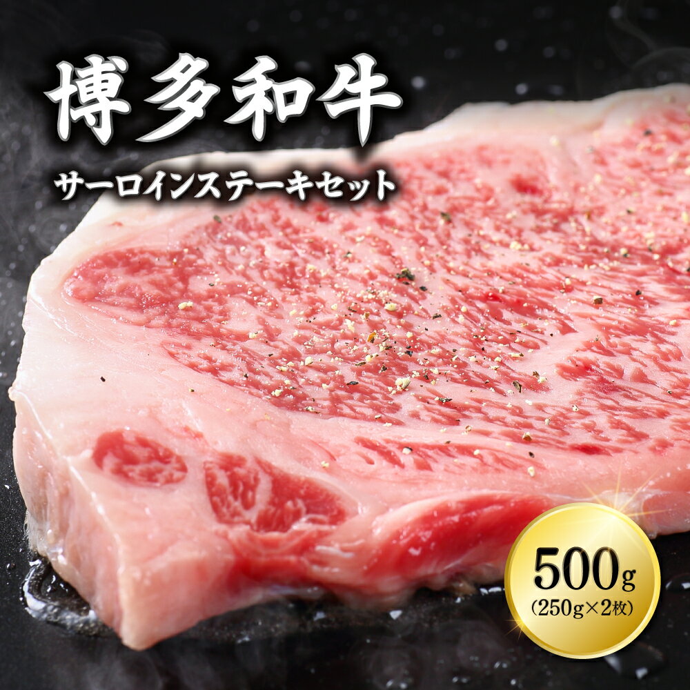 博多和牛サーロインステーキセット　500g（250g×2枚） 3G11