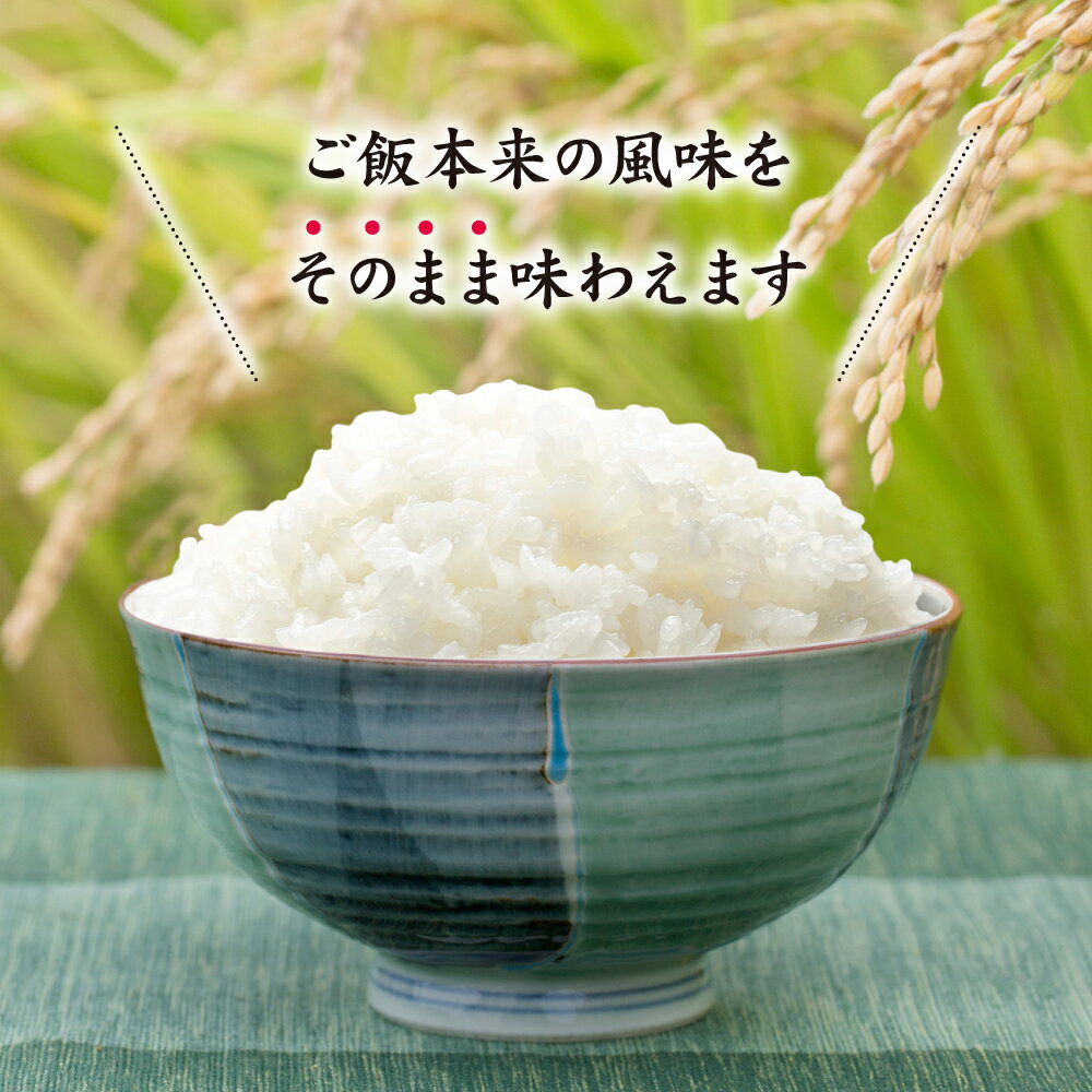 【ふるさと納税】【数量限定】 夢つくし パック ご飯 （48個） 白米 200g 送料無料 夢つくし パックご飯 ゆめつくし 米 ごはん 数量限定 数量 限定 福岡 東峰村 3Y2