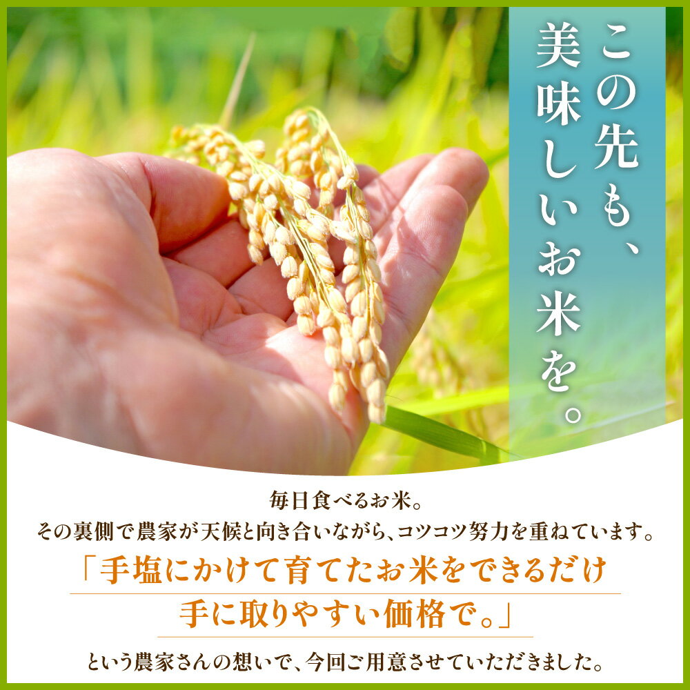 【ふるさと納税】 福岡県産 ブランド米 夢つくし(精米) 20kg お米 こめ ゆめつくし 米 福岡県 東峰村 　4J4