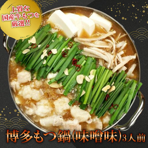 【ふるさと納税】ギフト用 博多もつ鍋(味噌味)3人前 2P13 【ふるさと納税】ギフト用 博多もつ鍋(味噌味)3人前 2P13