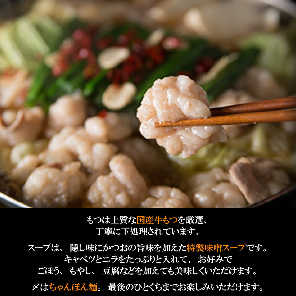 【ふるさと納税】ギフト用 博多もつ鍋（味噌味）3人前 2P13