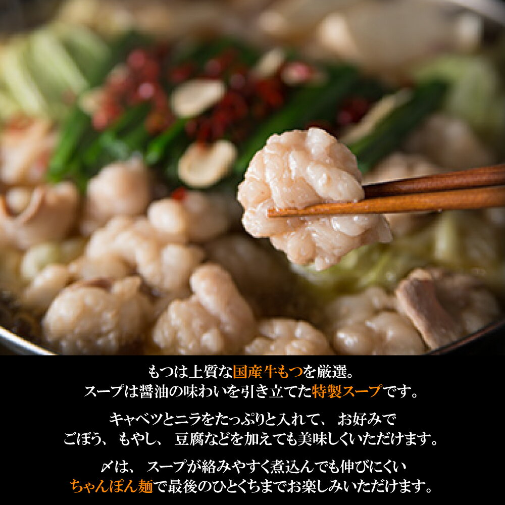 【ふるさと納税】博多もつ鍋（醤油味）1人前