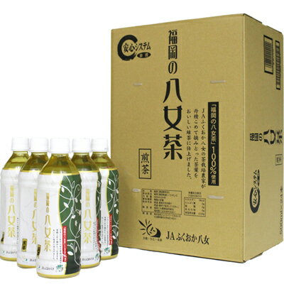 【ふるさと納税】福岡の八女茶　煎茶ペットボトル　500ml 