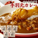 【ふるさと納税】はかた地どり　手羽元 カレー 210g × 