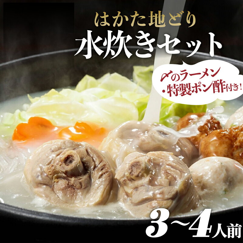 【ふるさと納税】 はかた 地どり 水炊きセットA (3〜4人前) 2L2