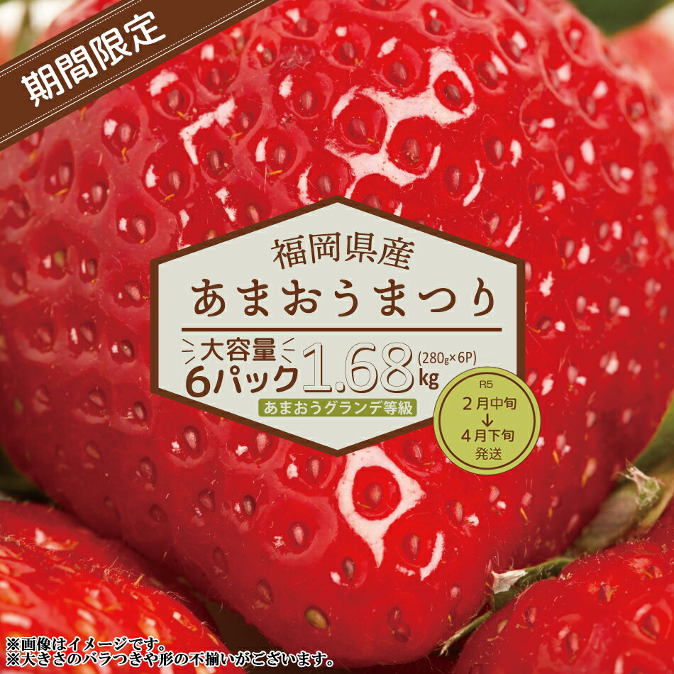 【ふるさと納税】【福岡県産あまおう】 グランデ等級　280g×6P（2月中旬～4月下旬発送）　2VB6