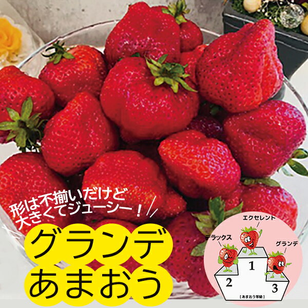 【ふるさと納税】【福岡県産あまおう】 グランデ等級　280g×6P（2月中旬～4月下旬発送）　2VB6